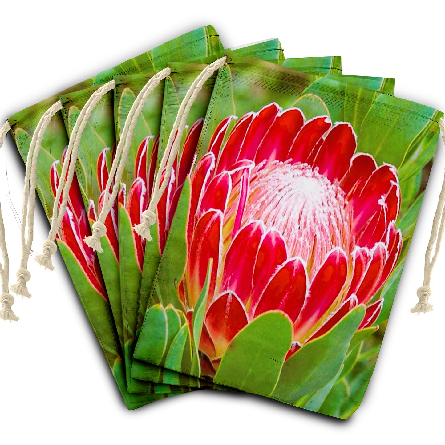 Protea Gift Bag (Set of 2)