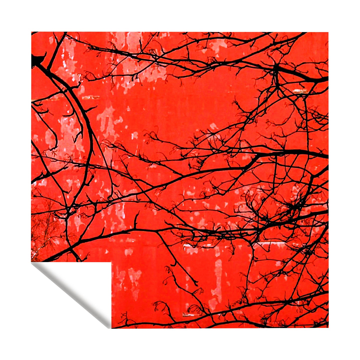 Pulse of Creation Square Tablecloth