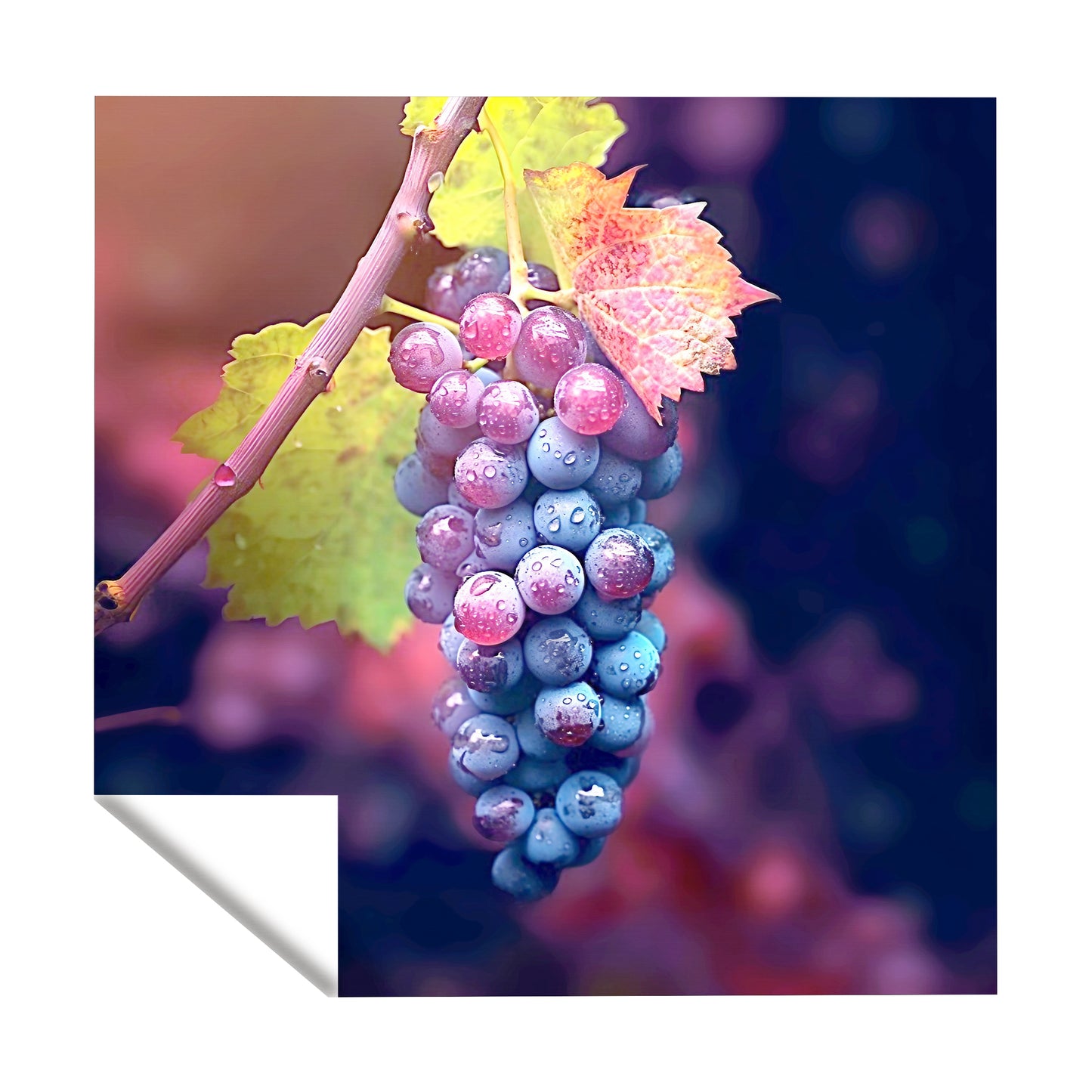 Purple Grapes Square Tablecloth