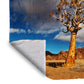 Quiver Tree Light Weigt Fleece Blanket By Annette Heymans