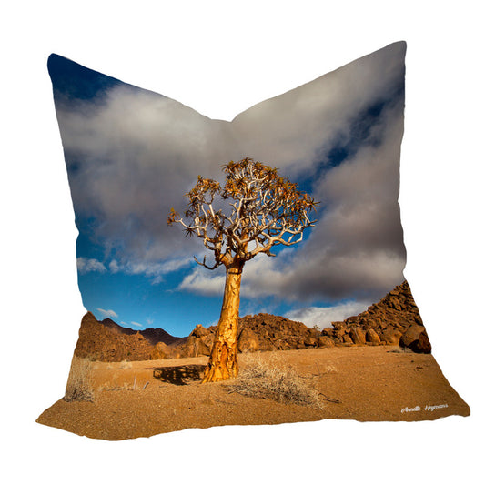 Quiver Tree Luxury Scatter By Annette Heymans