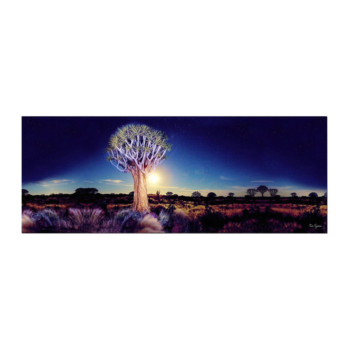 Quiver tree in Moonlight Desk Pad by Fanie Heymans