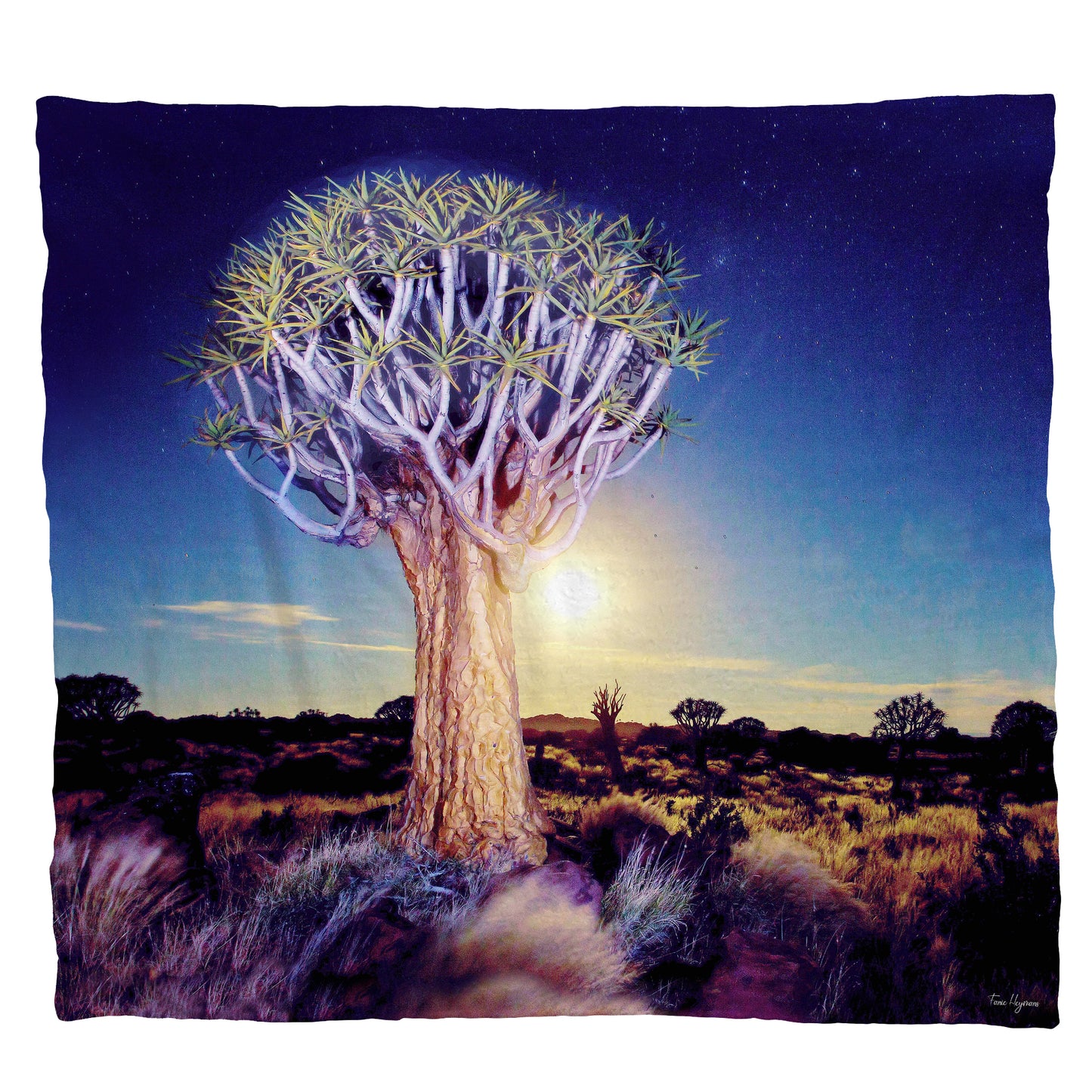 Quiver tree in Moonlight Light Weight Fleece Blanket by Fanie Heymans