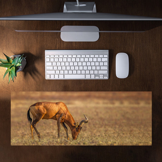 Red Hartebeest Grazing Desk Pad by Fanie Heymans