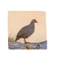Red-billed Francolin Napkins by Annette Heymans
