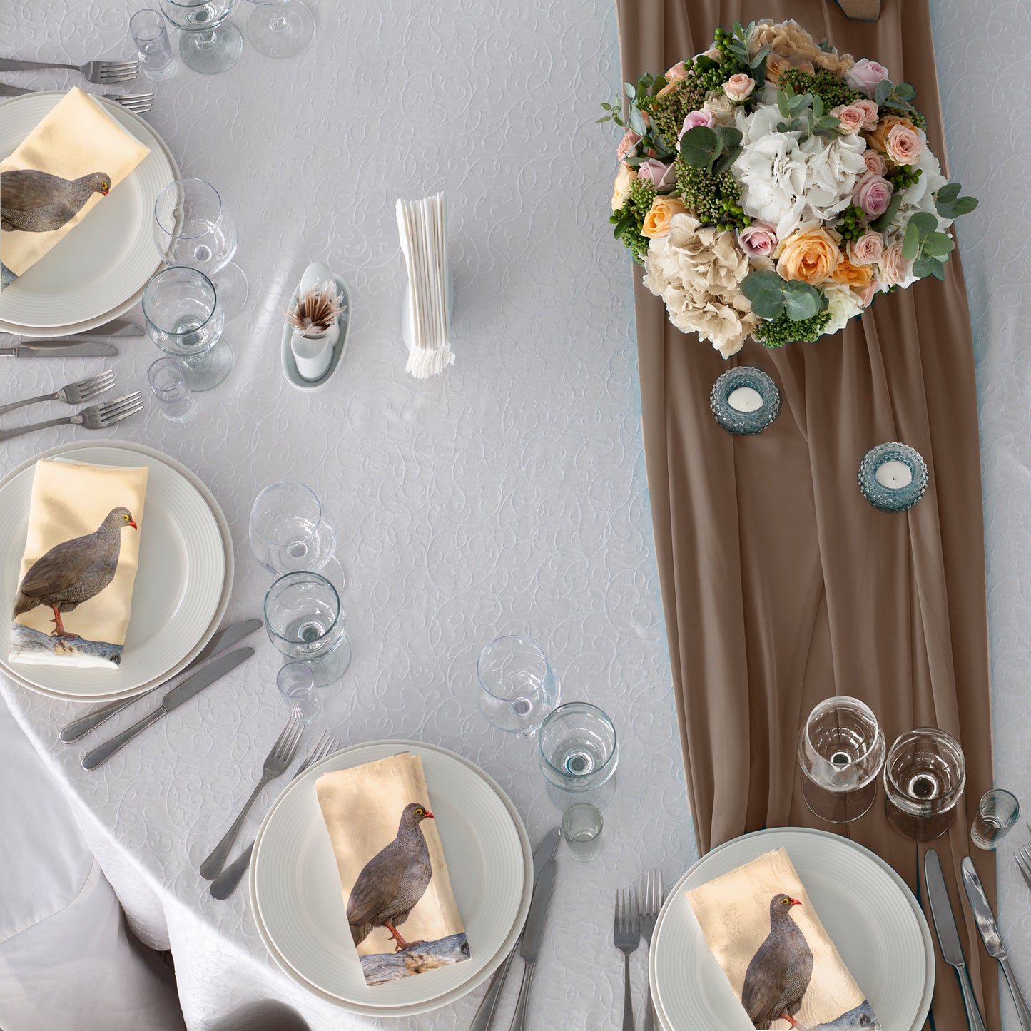 Red-billed Francolin Napkins by Annette Heymans