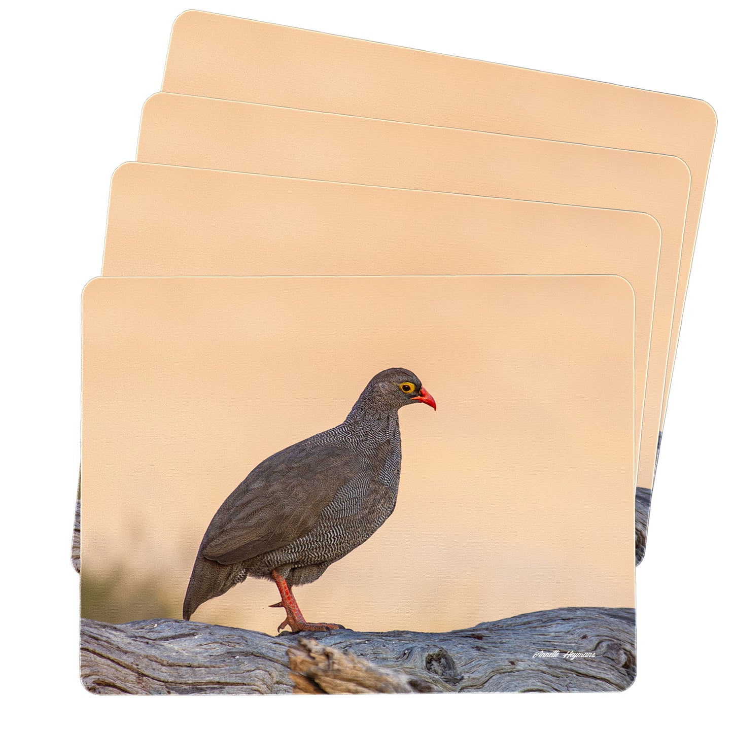Red-billed Francolin Placemats by Annette Heymans
