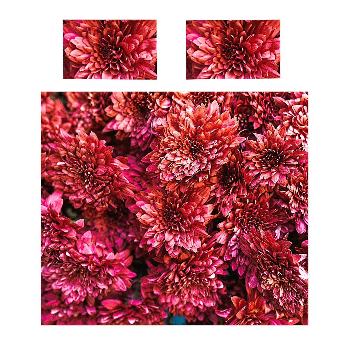 Red Flowers Duvet Cover Set