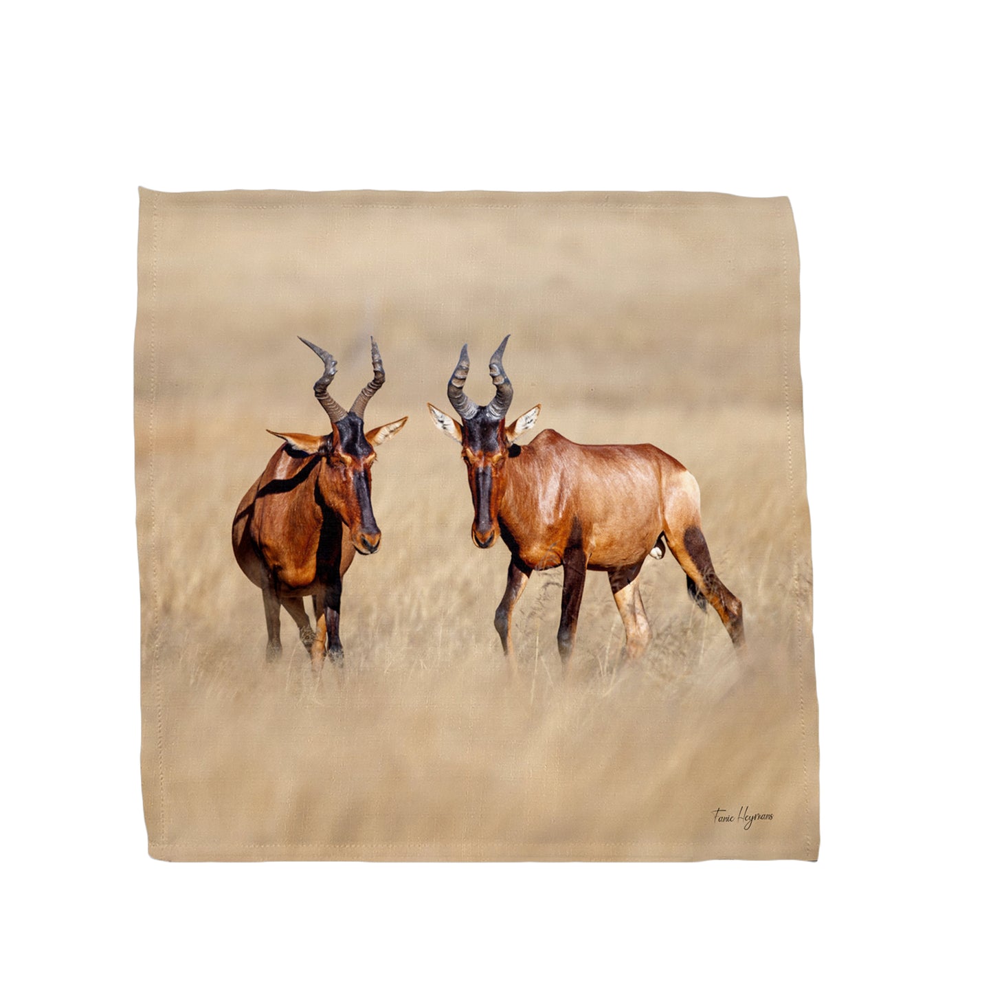 Red Hartebeest Napkins by Fanie Heymans
