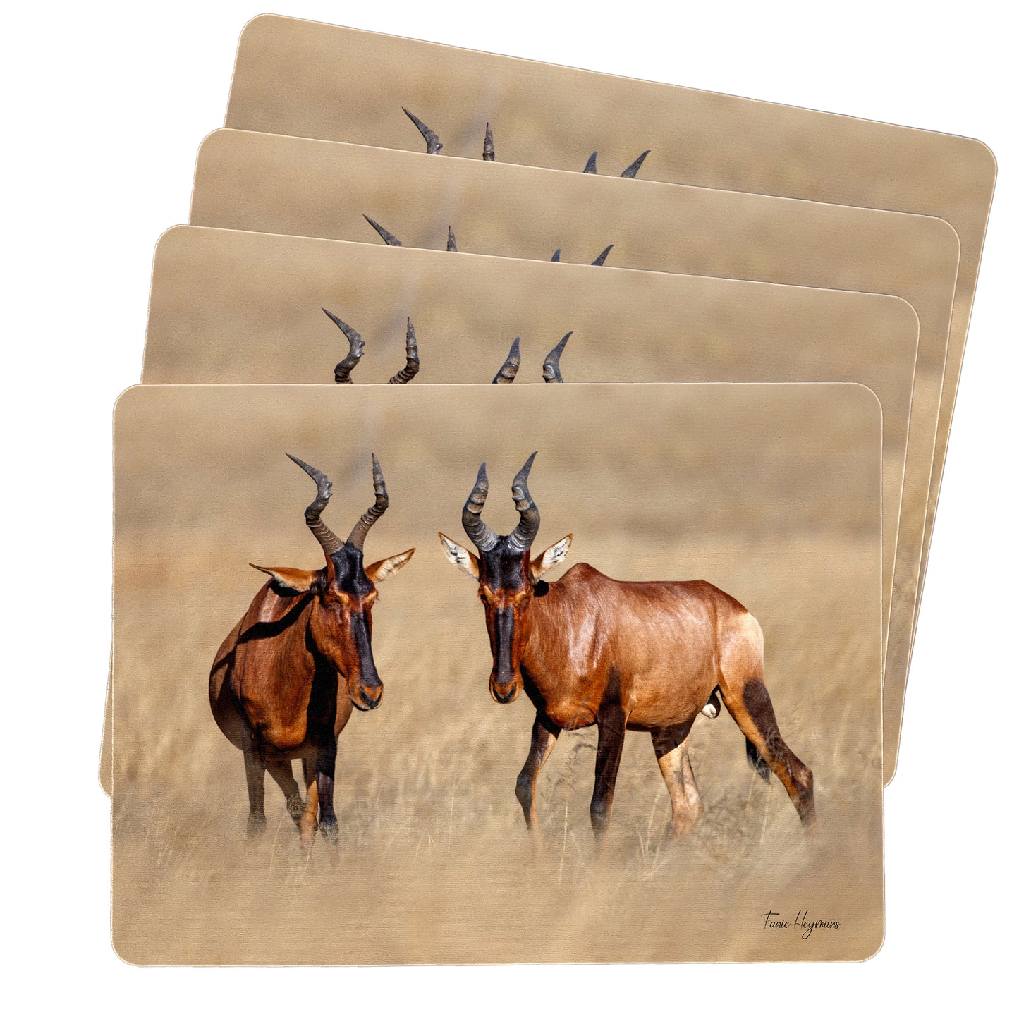 Red Hartebeest Placemats by Fanie Heymans
