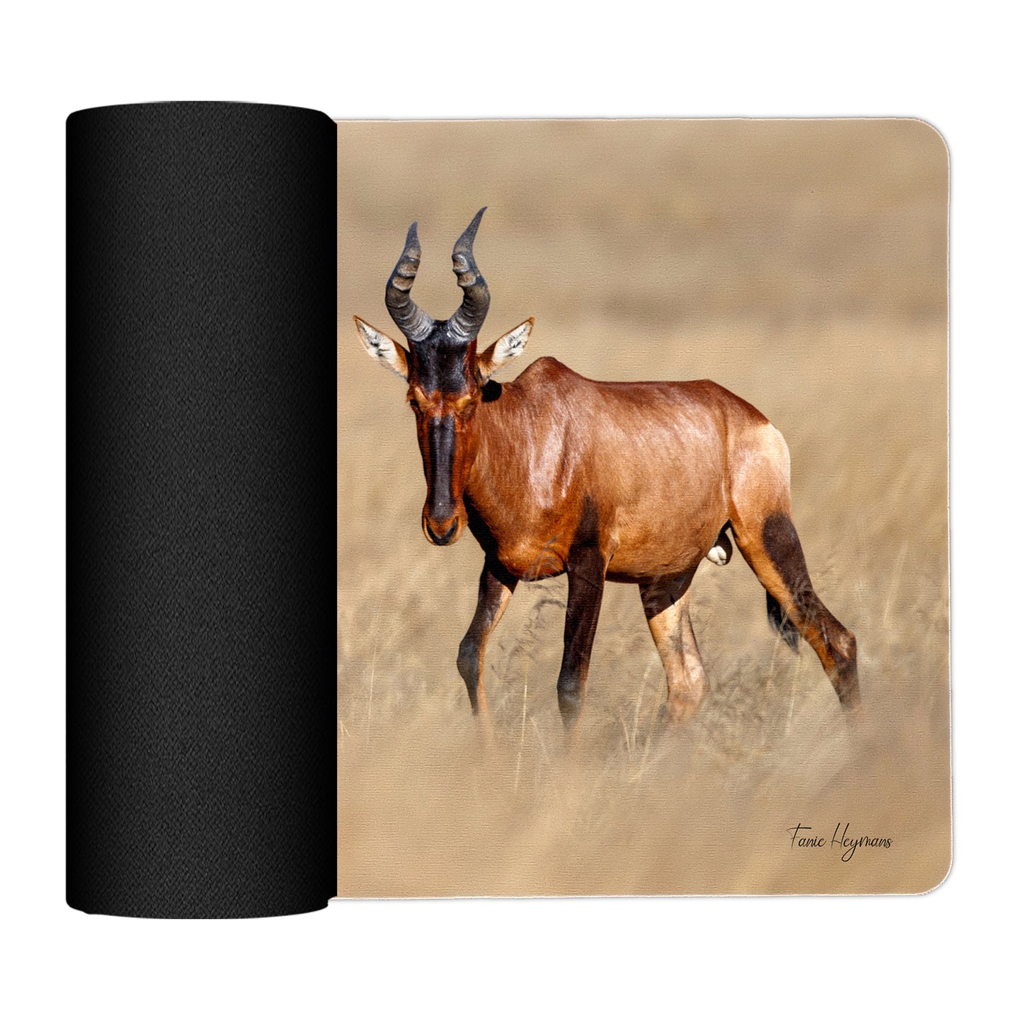 Red Hartebeest Placemats by Fanie Heymans