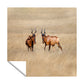 Red Hartebeest Square Tablecloth by Fanie Heymans