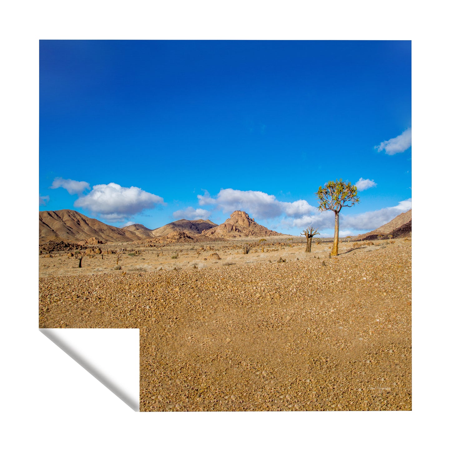Richtersveld Landscape Square Tablecloth by Fanie Heymans