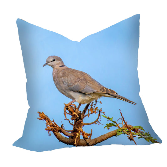 Ring - Necked Dove Luxury Scatter by Annette Heymans