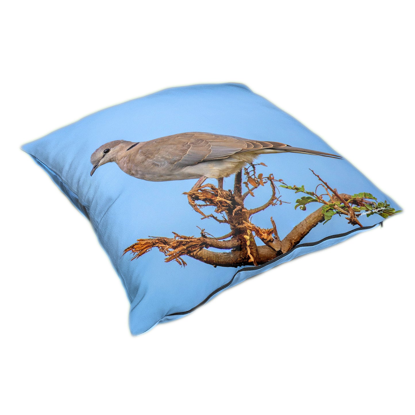 Ring - Necked Dove Luxury Scatter by Annette Heymans