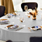 Rooted Abstraction Napkins