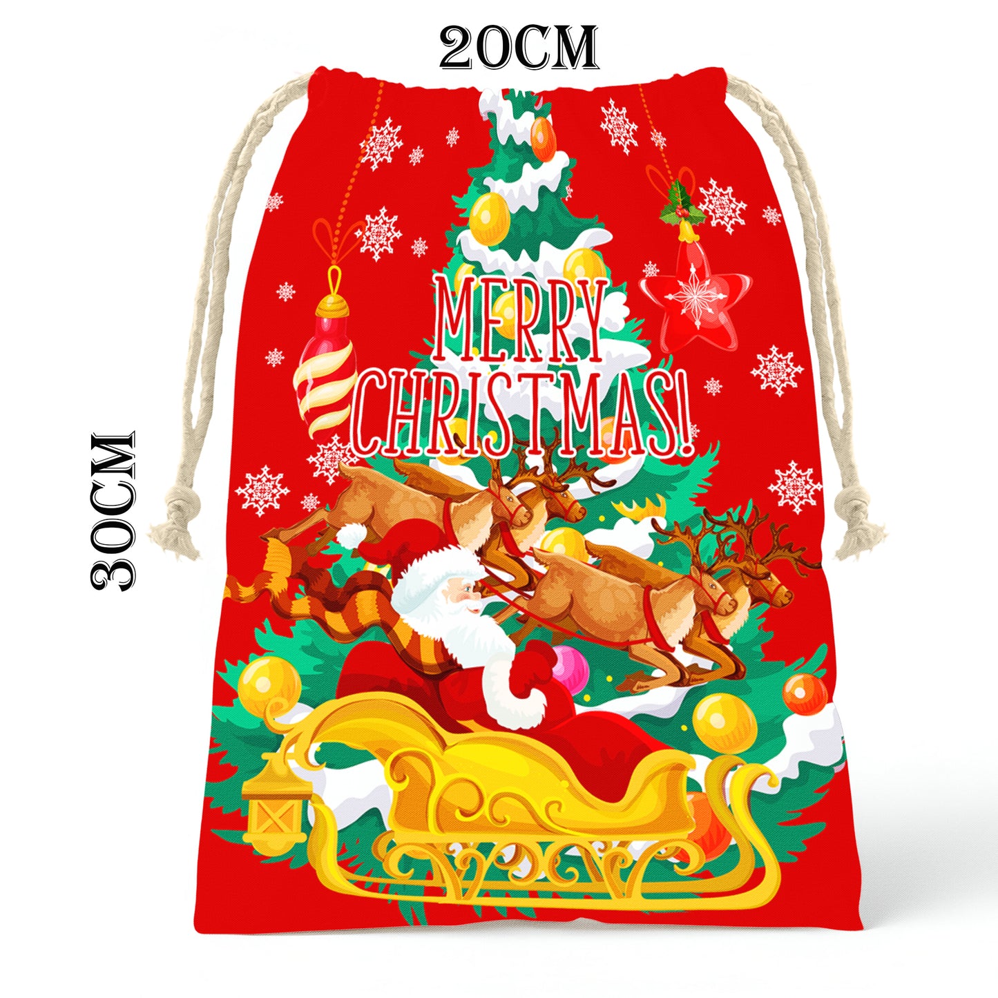 Rudolph Christmas Gift Bag (Set of 3)