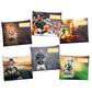 Rugby Legends Subject Savvy Book Bags Set of 6