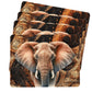Safari Elephant Placemats by Mark van Vuuren