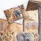 Safari Friends Cot Set