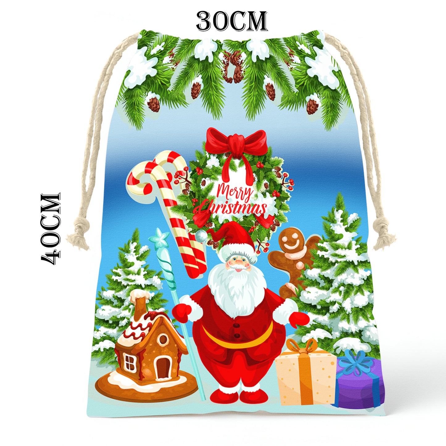 Santa Claus Gift Bag (Set of 2)