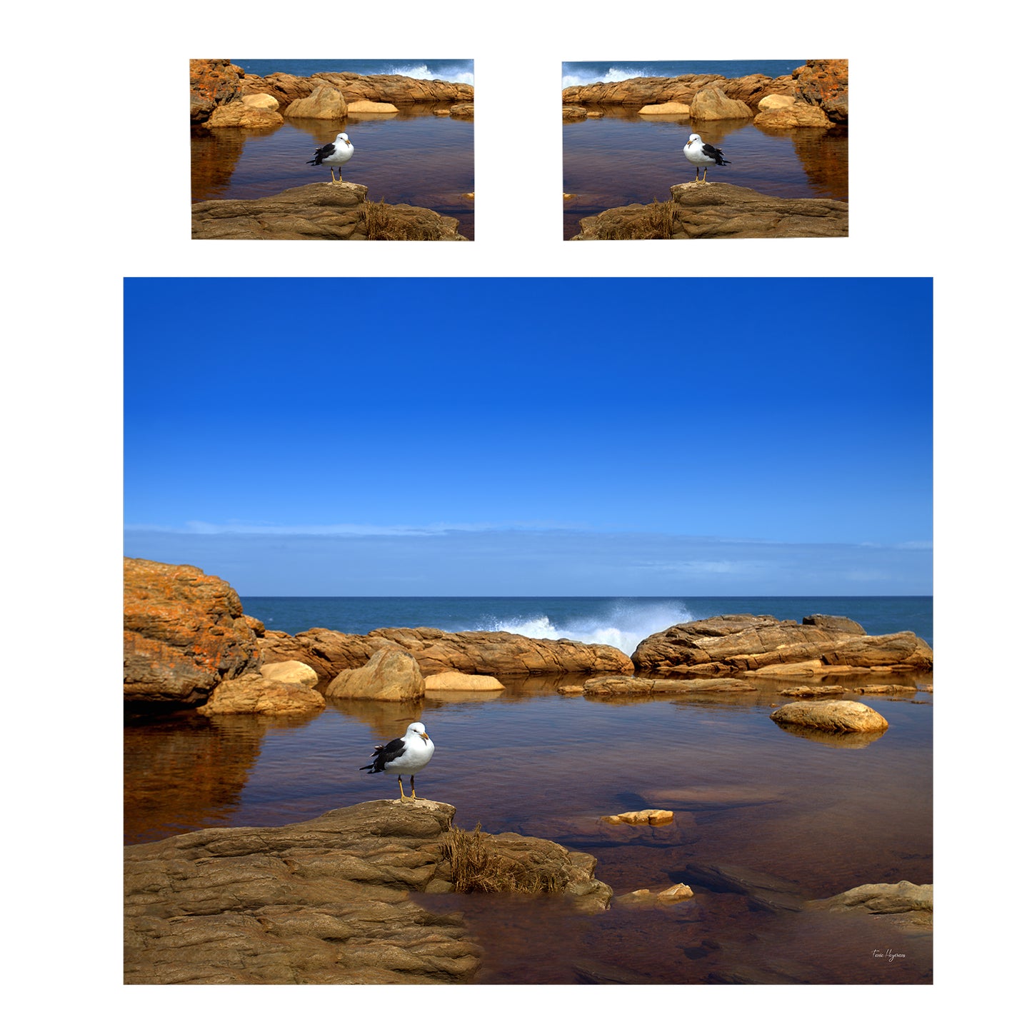 Seascape on Otter hiking trail Duvet Cover Set by Fanie Heymans