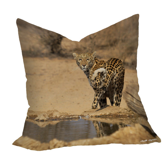 She's Got the Look Luxury Scatter by Annette Heymans