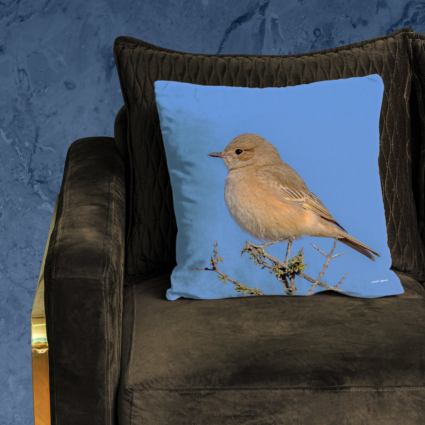 Sickle-winged Chat Luxury Scatter by Annette Heymans