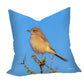 Sickle-winged Chat Luxury Scatter by Annette Heymans