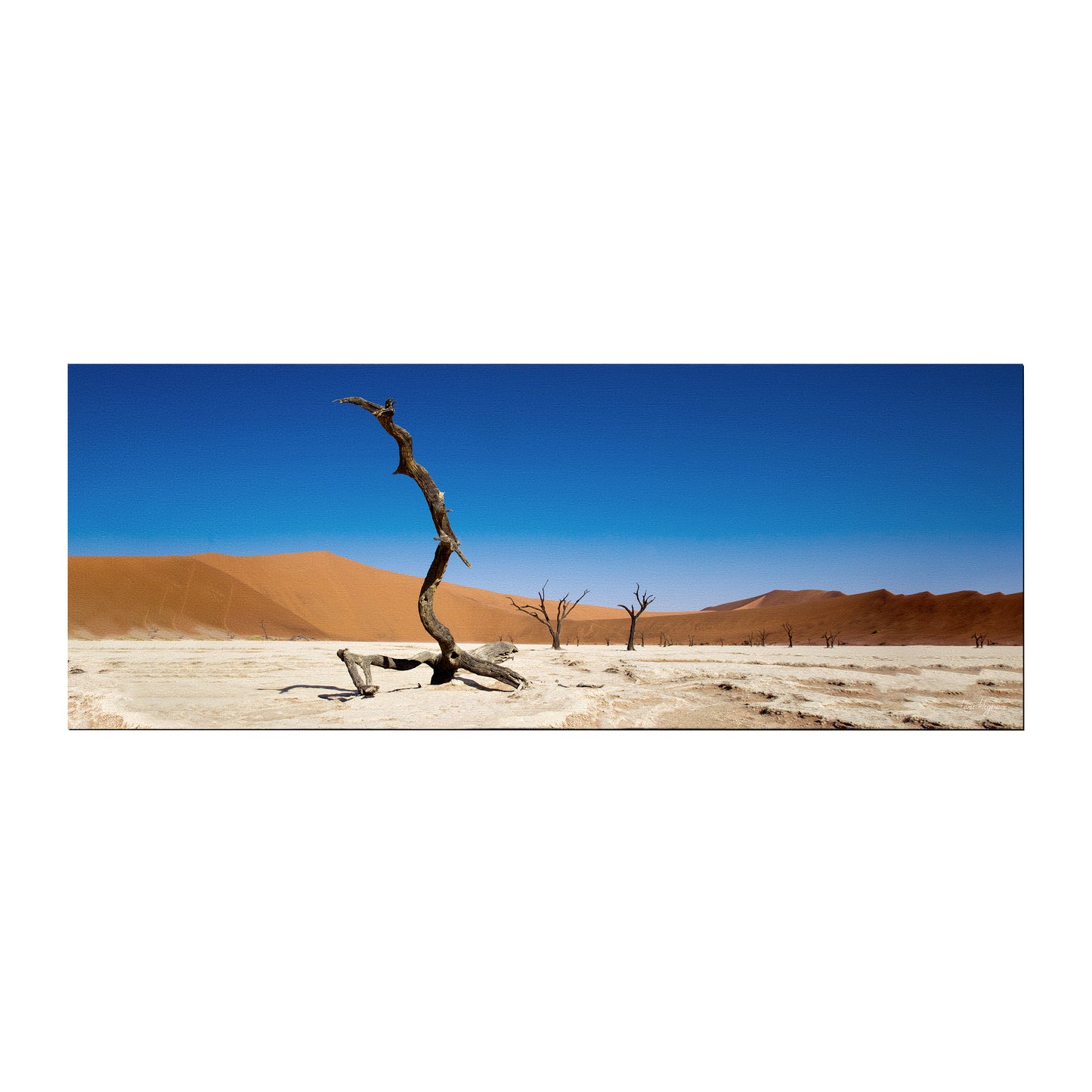 Sossusvlei Deadvlei Namibia Desert Desk Pad by Fanie Heymans
