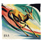 Springbok Grace Light Weight Fleece Blanket by Wikus Schalkwyk