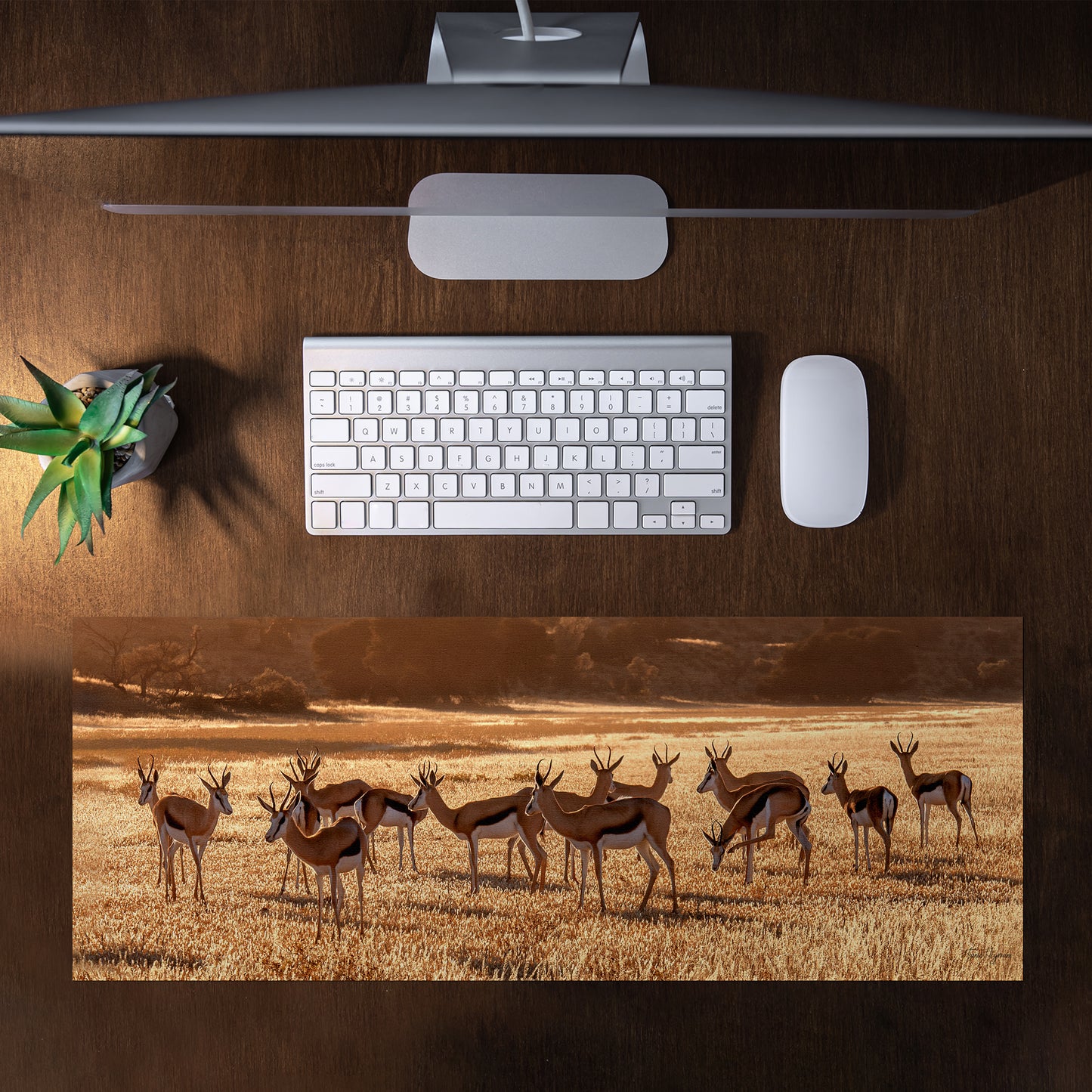 Springbok herd Desk Pad by Fanie Heymans