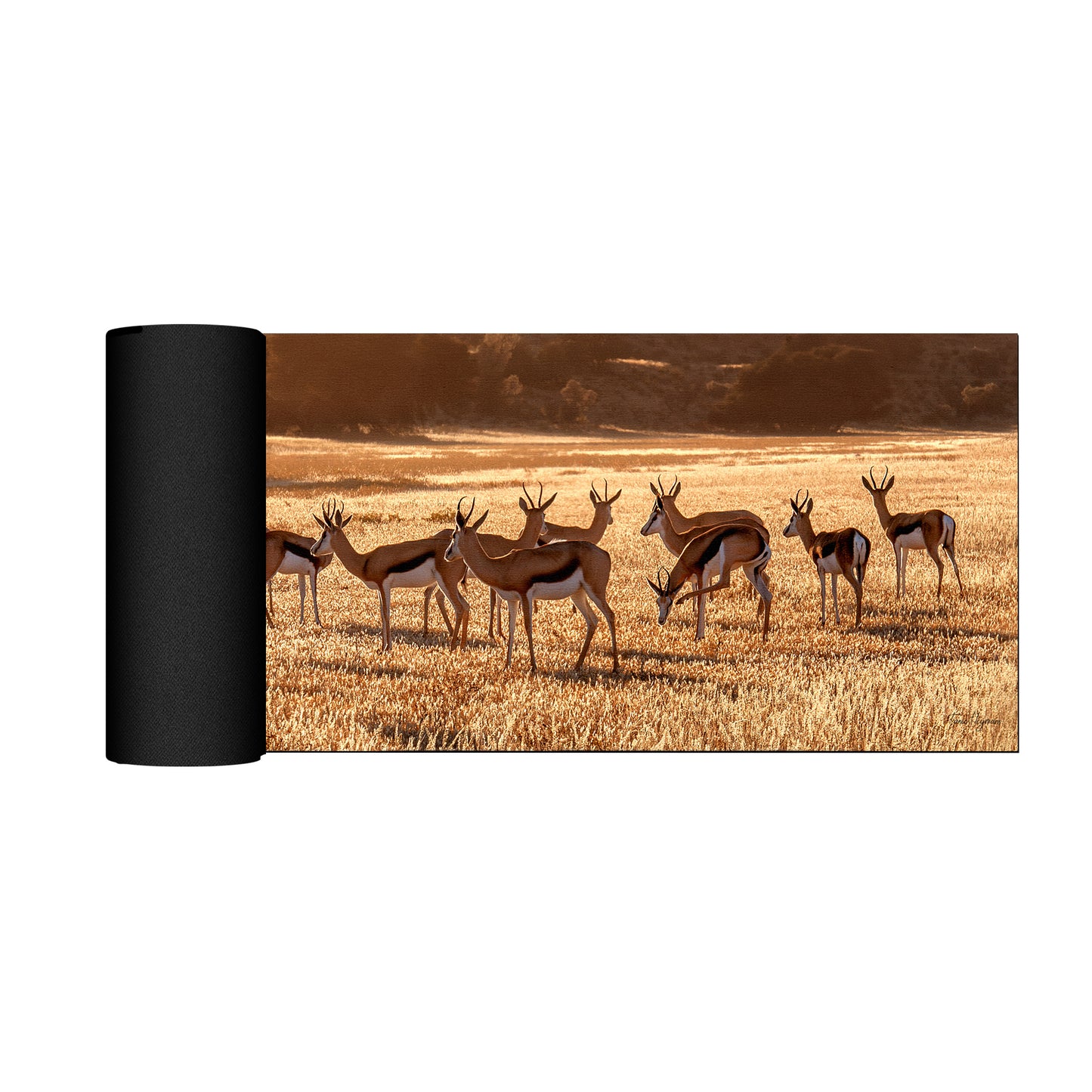 Springbok herd Desk Pad by Fanie Heymans