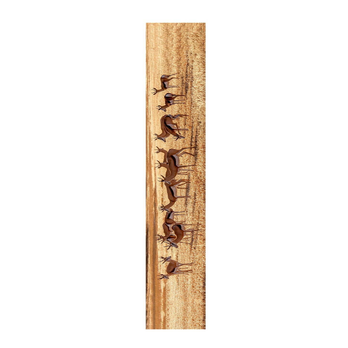 Springbok herd Table Runner by Fanie Heymans