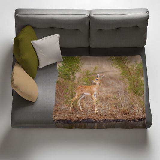 Steen Bok Light Weight Fleece Blanket by Fanie Heymans