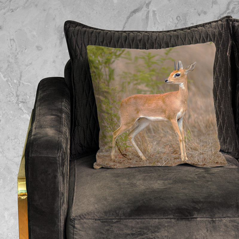 Steen Bok Luxury Scatter by Fanie Heymans