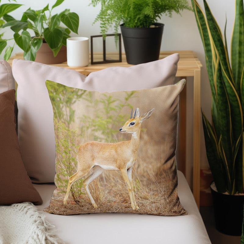 Steen Bok Luxury Scatter by Fanie Heymans