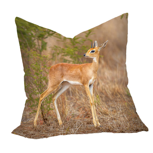Steen Bok Luxury Scatter by Fanie Heymans