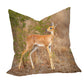 Steen Bok Luxury Scatter by Fanie Heymans