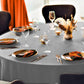 Sunburst Elephant Napkins by Nathan Pieterse