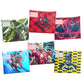 Superhero All-Stars Subject Savvy Book Bags Set of 6