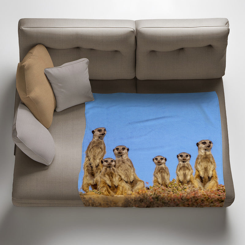 Suricate Stokstert Meerkat Light Weight Fleece Blanket By Fanie Heymans