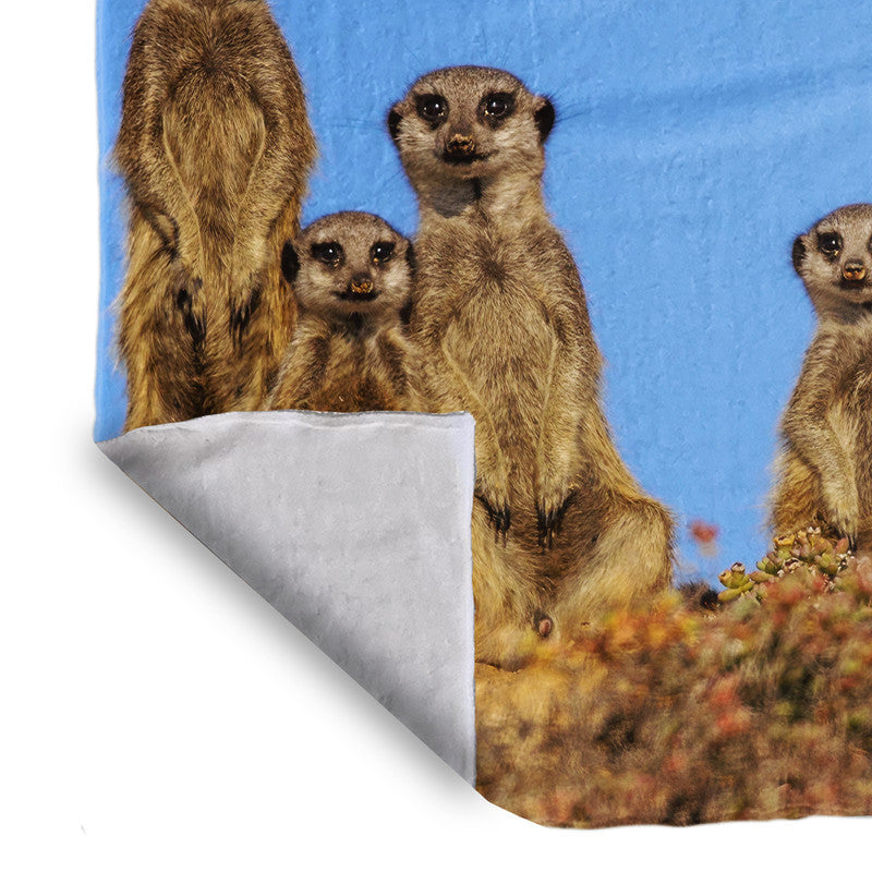 Suricate Stokstert Meerkat Light Weight Fleece Blanket By Fanie Heymans