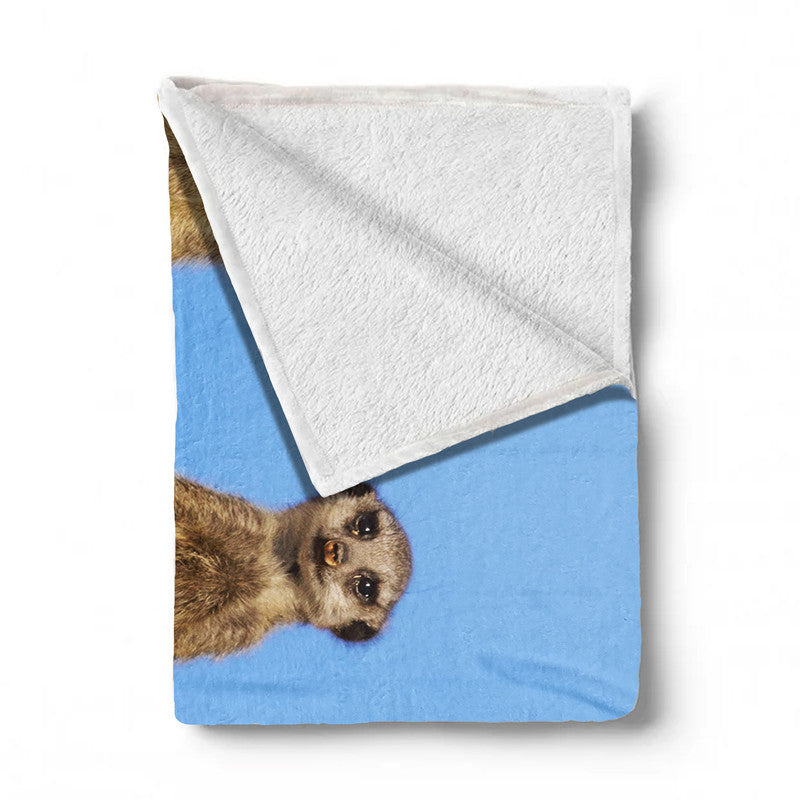 Suricate Stokstert Meerkat Light Weight Fleece Blanket By Fanie Heymans