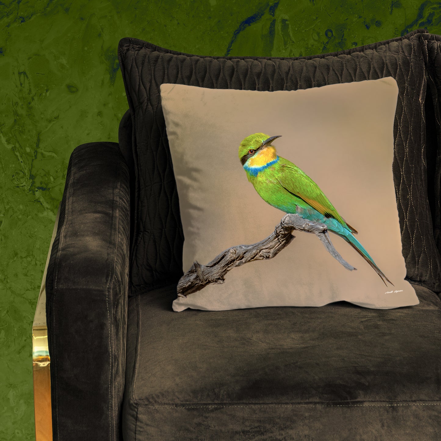 Swallow Tail Bee Eater Luxury Scatter by Annette Heymans