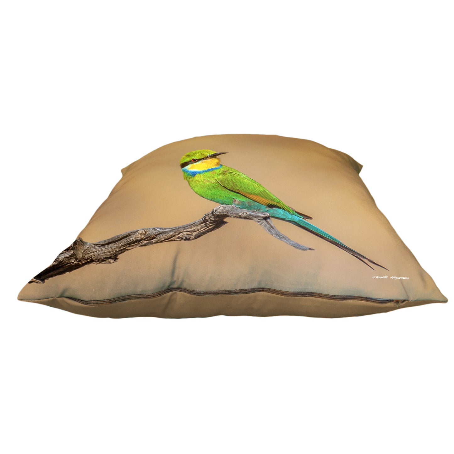 Swallow Tail Bee Eater Luxury Scatter by Annette Heymans