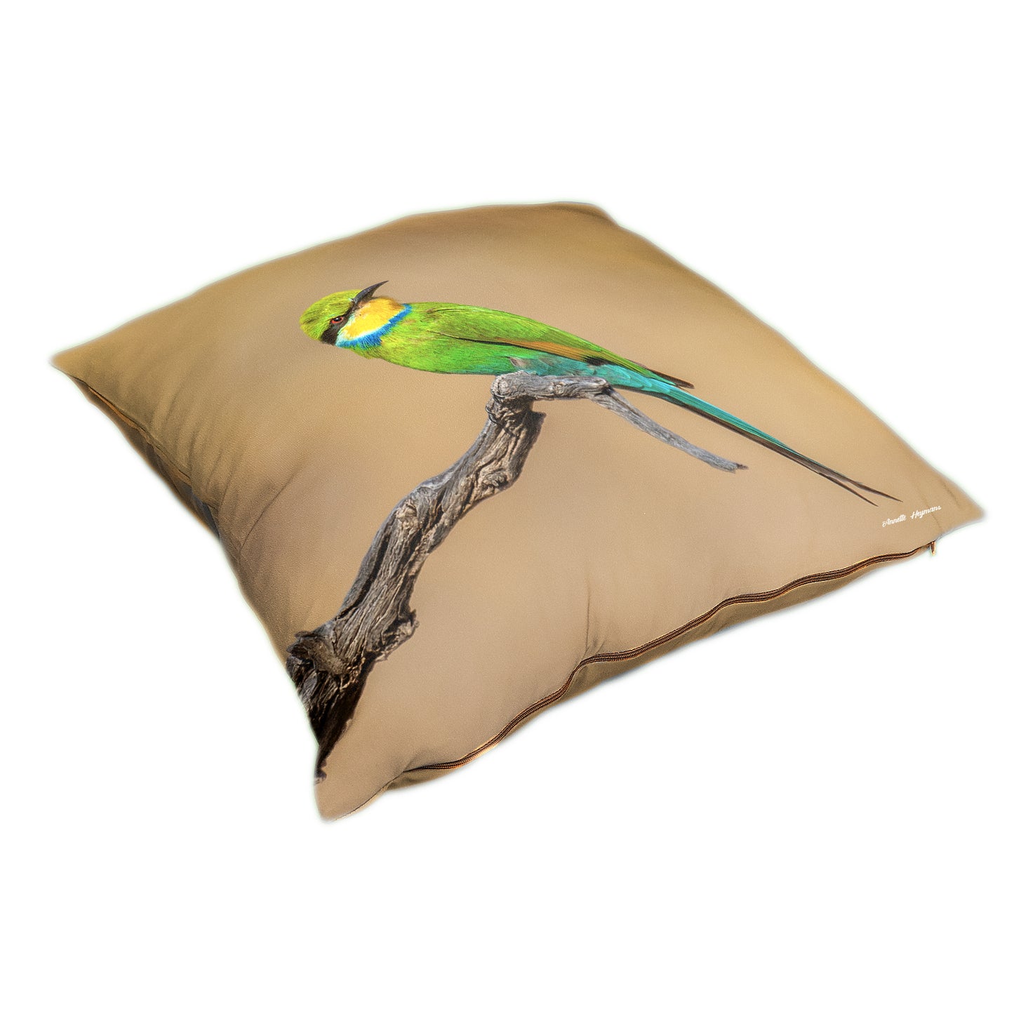 Swallow Tail Bee Eater Luxury Scatter by Annette Heymans