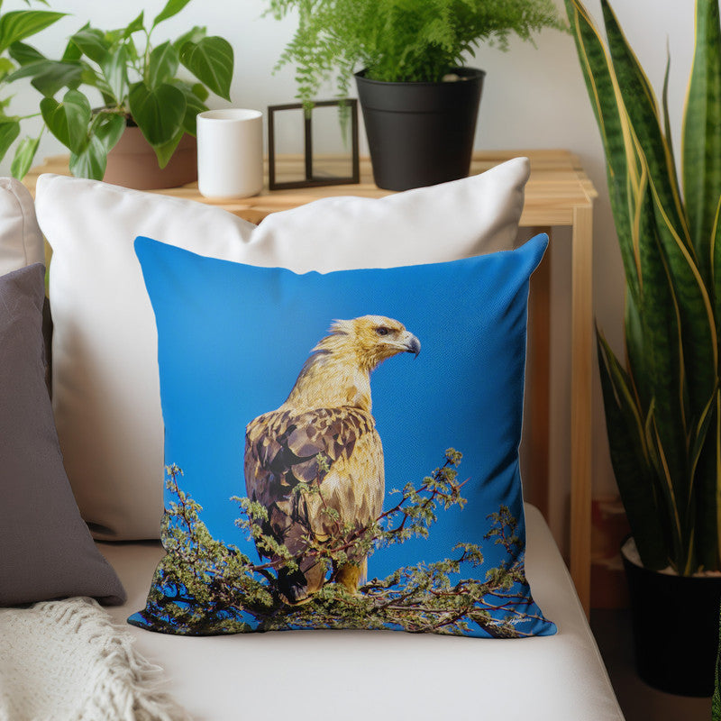 Tawny Eagle Luxury Scatter By Annette Heymans