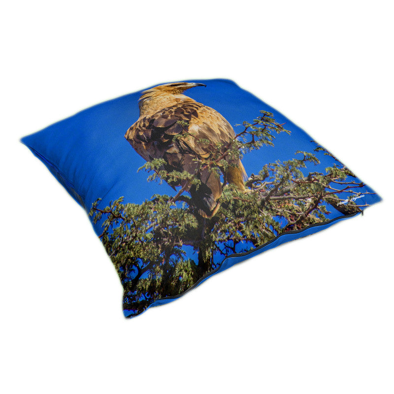 Tawny Eagle Luxury Scatter By Annette Heymans