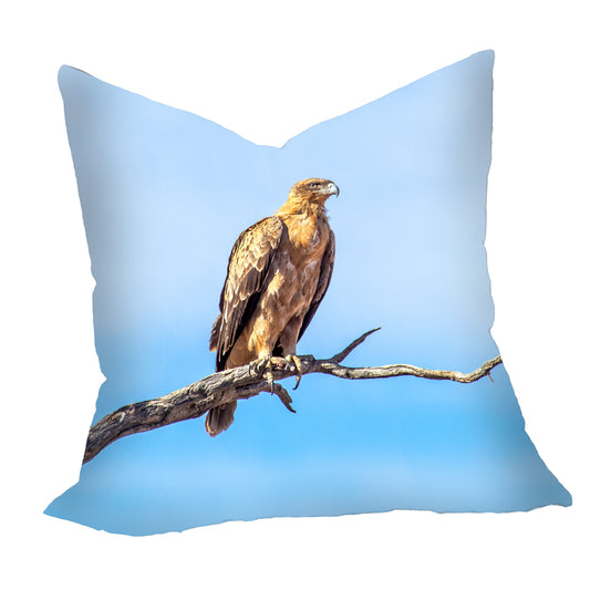 Tawny Eagle Luxury Scatter by Annette Heymans